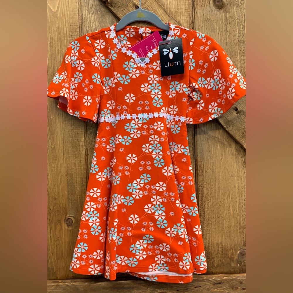BNWT! Cutest little dress with bell sleeves